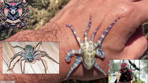 Australia's 10 most dangerous creatures