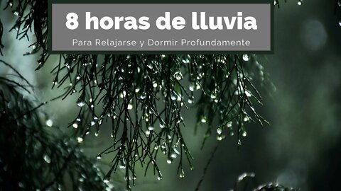 8 horas Sonido de Lluvia Relajante para Dormir - Rain Sounds For Sleeping - Som de Chuva para Dormir