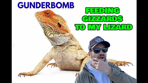 (Gunderbomb) Feeding Gizzards To My Lizard