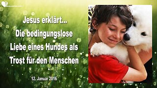 12.01.2016 ❤️ Jesus erklärt... Die bedingungslose Liebe eines Hundes als Trost für den Menschen