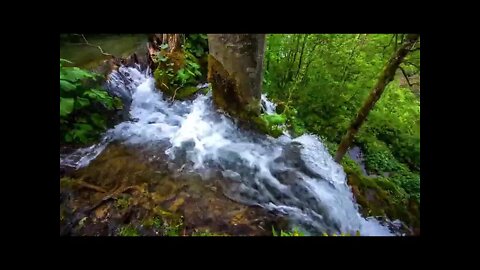 8 Hours of White noise.Mountain river and Forest. To good sleep.Meditation.Relaxation.