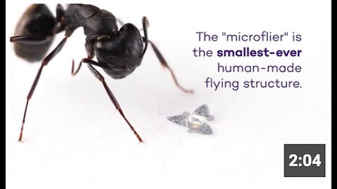 Winged microchip from HELL is smallest-ever human-made flying structure