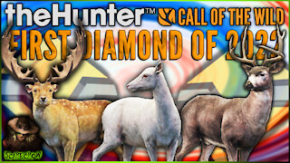 The First Diamond Of 2022! Diamond Blacktail Deer & Fallow Deer! Call of the wild