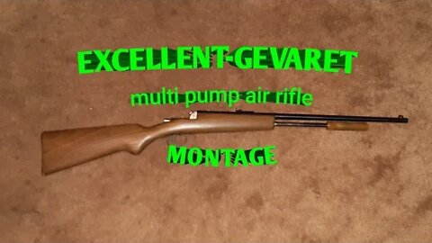 EXCELLENT-GEVARET multi pump air rifle montage
