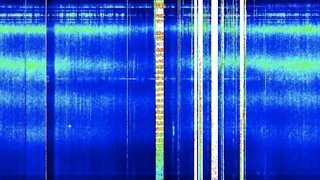 Schumann Resonance: Genetic Karyotype Appears