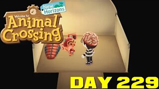 Animal Crossing: New Horizons Day 229 - Nintendo Switch Gameplay 😎Benjamillion