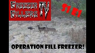 NY Shots Fired! Deer Hunting! Big Doe Down! #hunting #deerhunting S1E1