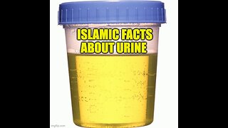 Islamic Facts About Urine