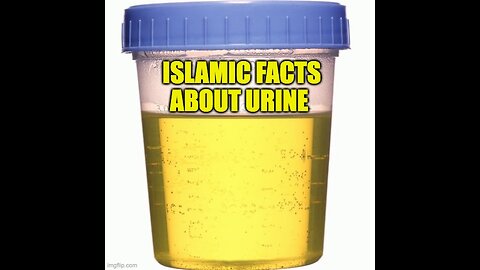 Islamic Facts About Urine