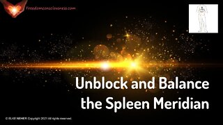 Unblock and Balance the Spleen Meridian - Energy/Frequency Healing Music