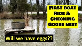 Illinois FARM VLOG; Checking goose nest box, Clover food plots & more