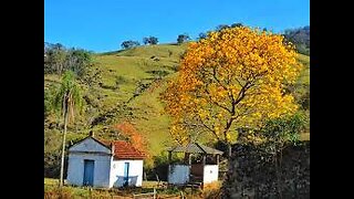 Capelinha de Nossa Senhora aparecida Rancho São Francisco