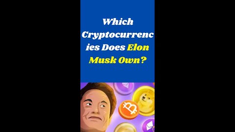 Which Cryptocurrencies Does Elon Musk Own?