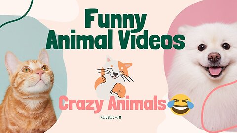 Best Funniest Cats 😹 - Don't try to hold back Laughter 😂 Funny Cats 2023