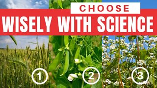 Three Types Of Cover Crop Groupings & The Roles Each One Plays. Build A Healthy Soil w Cover Crops.