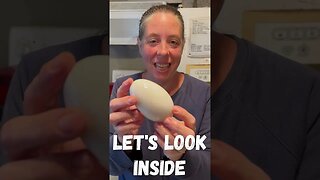 Finding My First Goose Egg!