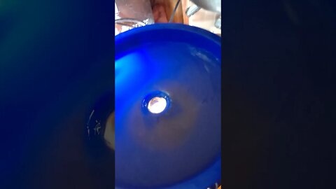 Gold Prospecting-BLUE BOWL