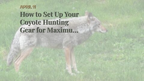 How to Set Up Your Coyote Hunting Gear for Maximum Efficiency