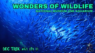 MORE THAN FISH | Wonders of Wildlife | BEC TREK Episode 41 (Pt1)