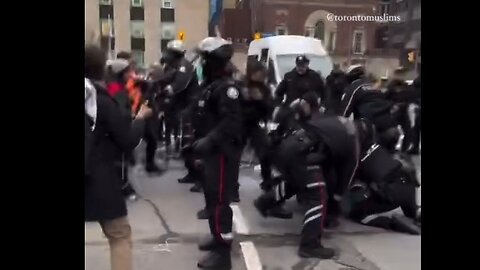Toronto Pigs Brutally Beat Up a Protester