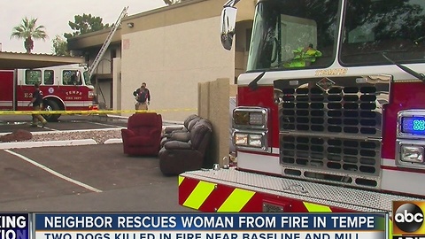 FD: 2 dogs dead after fire at Tempe apartment