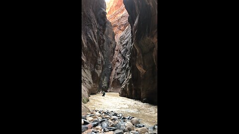 Hiking the narrows at Zion national park