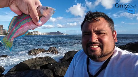 Hawaiian Fishing Adventure: Ala Moana Park Angling Paradise 🎣🌴