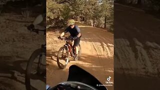 My new hobby dodging Mtn Bikers