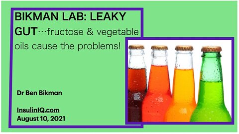 Dr Bikman's Lab 2: LEAKY GUT...fructose & vegetable oils cause the problems!