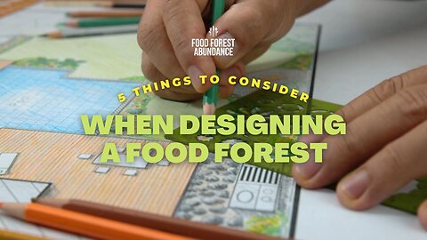 5 things you need to consider when designing a food forest