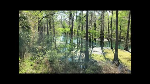 Radium Springs from the Wooden Overlook - First full day of Spring 2022