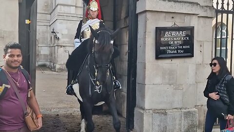horse scare stamping hoof #horseguardsparade