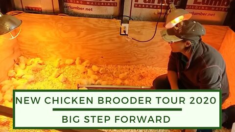 New Chicken Brooder Tour 2020- Big Step Forward