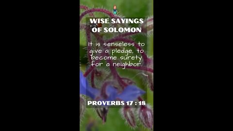 Proverbs 17:18 | NRSV Bible - Wise Sayings of Solomon