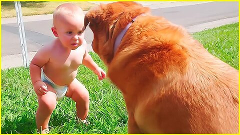 cut baby and pets,.. funny video cute baby & pets..