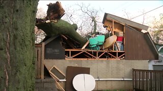 Intense storms down trees, flood streets in Bay View