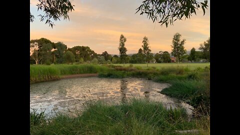 Riverbank Cct Campbelltown