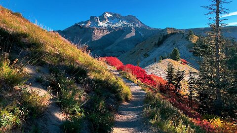 Mount Hood Wilderness Timberline Loop (SW Quadrant Day-Hike) - Lodge to Zig Zag Canyon | Oregon | HD