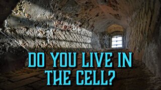 Do You Live in the Cell?