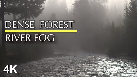 Nature Meditation Video - Clairvoyance in a Dence Foggy Forest River