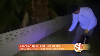 Scorpion Repel and Pest Control come to your home at night to hunt down scorpions