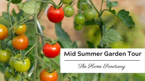 Mid Summer Garden Tour-How's it Growing?