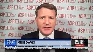 Mike Davis: This Election Interference is Republic Ending