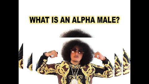 What is an alpha man? The alpha male explained. Shi fu describes an alpha male. Alpha vs Beta Male