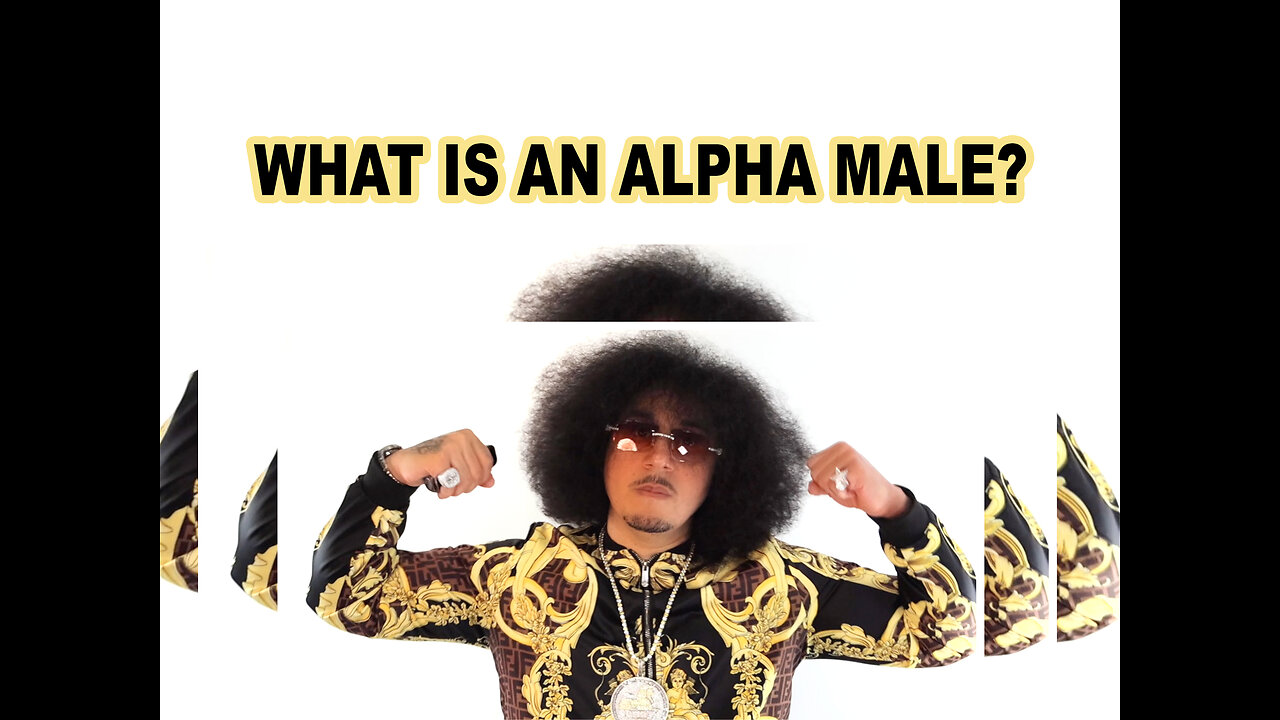 What is an alpha man? The alpha male explained. Shi fu describes an ...