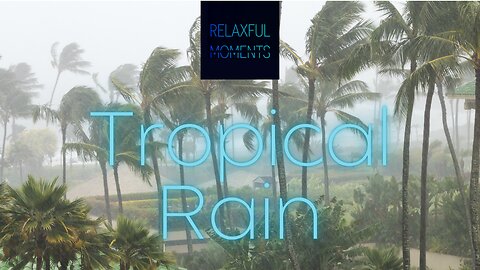 Tropical Rain | Pink Noise | Rainfall on Majestic Palm Trees for Sleep, Relaxation and Focus