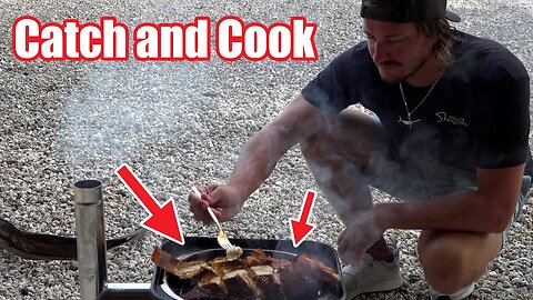 Spearfishing Hogfish and Cooking on Open Wood Fire | Catch and Cook