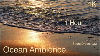 1 Hour of Tranquil Ocean Ambience