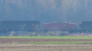 Wheeling & Lake Erie Loaded Coke Train Part 1 From Sterling, Ohio November 6, 2021