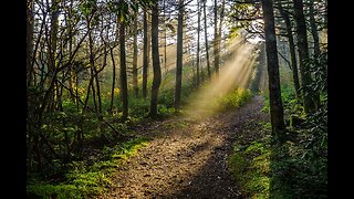 "Hiking Through Heaven" ft. Walter Zolna 7/6/23